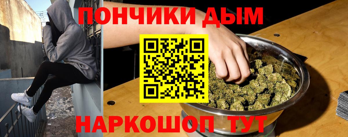 Конопля конопля Курчатов
